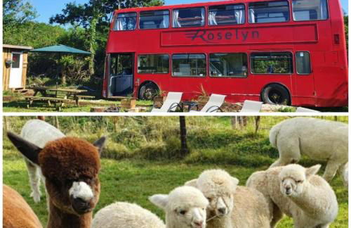 Double Decker Bus on an Alpaca Farm Sleeps 8 - Foto 2