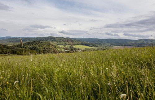 Agroturystyka Pawlikówka - Foto 62