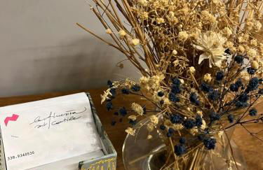 Nel centro storico di Moncalieri - Foto 19