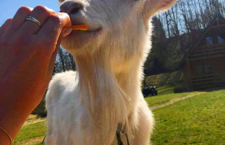 Mana Village - Jacuzzi & Sauna - Foto 69