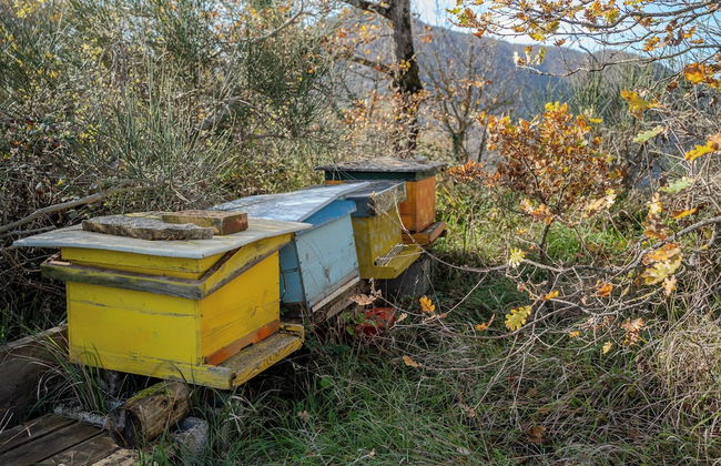 Il Capriccio del Papa - Photo 72