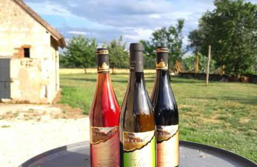 Villa coco 9 personnes jardin proche Beauval - Foto 26