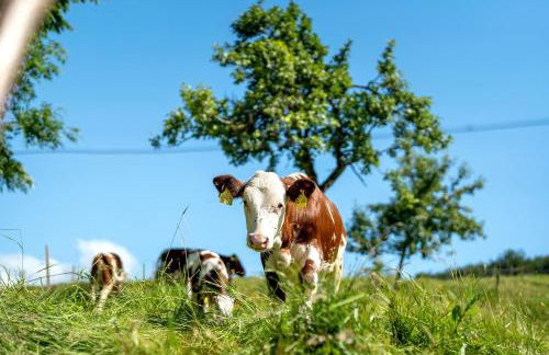 Danielenhof - Foto 14