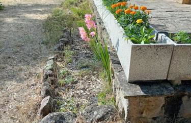 Derroñadas . Casa con enorme jardín y tenis. - Foto 19