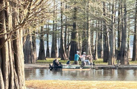 King Suite & Bunkhouse - Deer Camp - WiFi - Grill - Foto 34