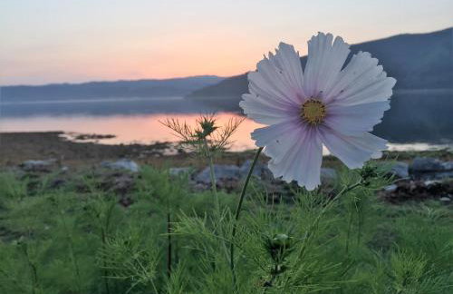 Seal Point Cabin - Luxury Glamping - Foto 28