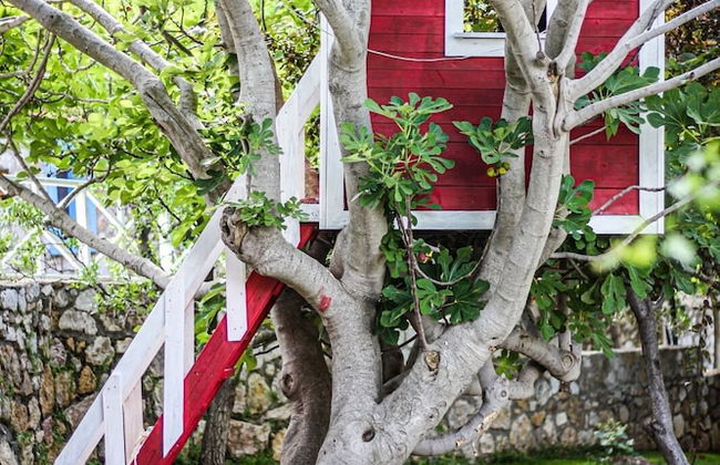 Ataol Tatil Ciftligi - Foto 29