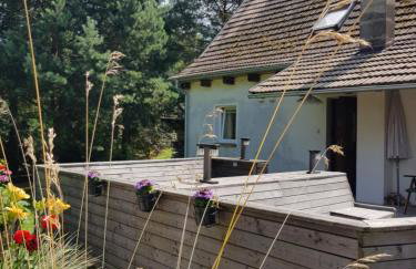 Na Piotrowickiej Przełęczy - Foto 44