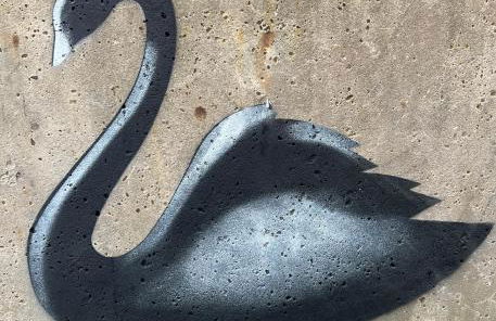 Der Schwan, Innenstadt, 2022 renoviert - Foto 49