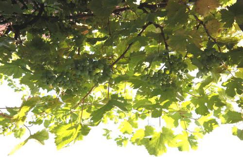 APPartementWESTiNGhaus - Photo 8