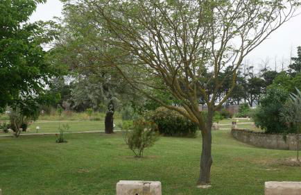 Mas Maurane - L'Olivier avec SPA privé aux portes d'ARLES - Foto 58