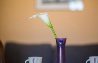 Apartment Smuljic - Foto 18