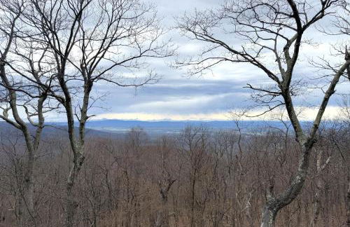 Mountaintop Lodge with Wintergreen Advantage - Foto 44