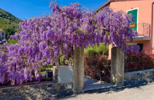 La Casa dei Glicini - Foto 43