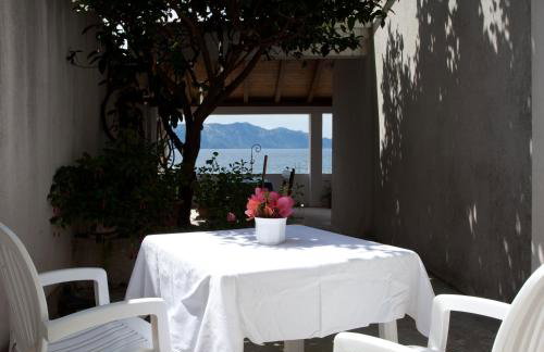 Apartments Toplak - Foto 62