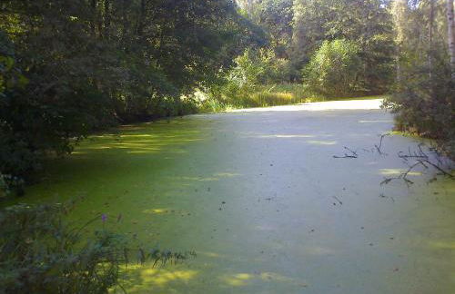 Ferienwohnung Hainbuche Lübben im Spreewald - Foto 38