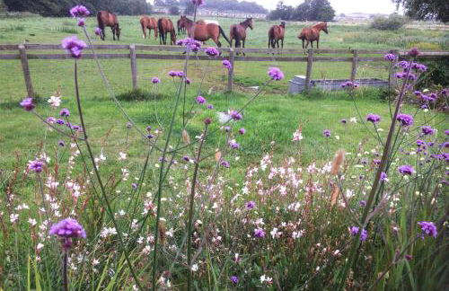 The Coach House Barn - Valley Farm - Foto 16