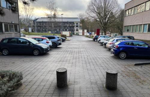 Appartement ESCURIAL CHU VANDOEUVRE-LES-NANCY - Foto 2