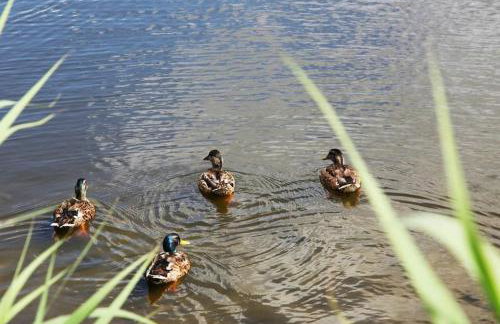 Delightful two bedroom caravan on Par Beach. - Foto 34