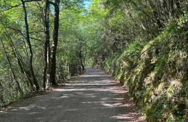 Casa Belvedere a Valle San Martino di Spoleto - Foto 70