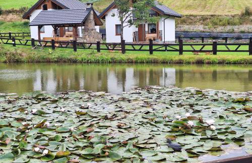 Domki Nad Liliowym Stawem - Photo 1