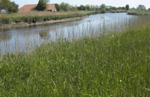 Deichhasenhof Comfortable holiday residence - Foto 24