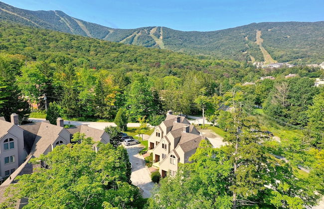 Fall Line Condo E1 1 Bedroom Condo - Photo 42