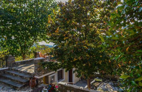 Mansion Philoktitis - Foto 6