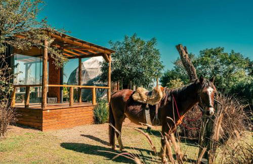 Esphera Glamping - Gravataí - RS - Foto 99