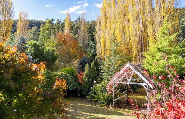 Magical Lucindale - 4 Bedroom House - Foto 55