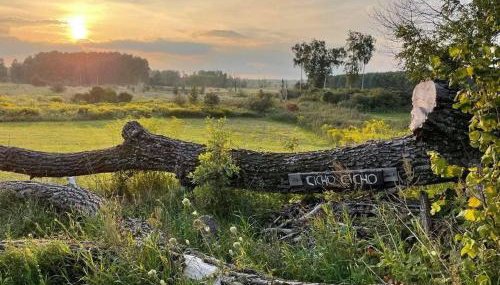 Na zielonej łące... - Foto 2