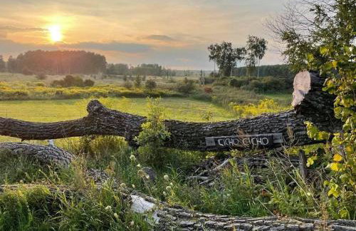 Na zielonej łące... - Foto 2