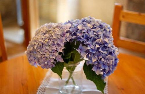 Horizontes Serranos - Foto 45