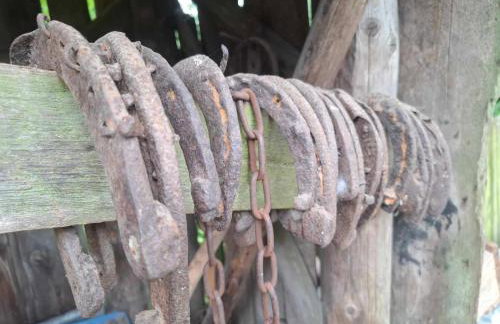 Agroturystyka Przy Rajskim Sadzie - Foto 38