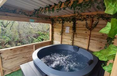 Min yr Afon - Cabin - Sleeps 2 - Hot Tub - Parking - Foto 56