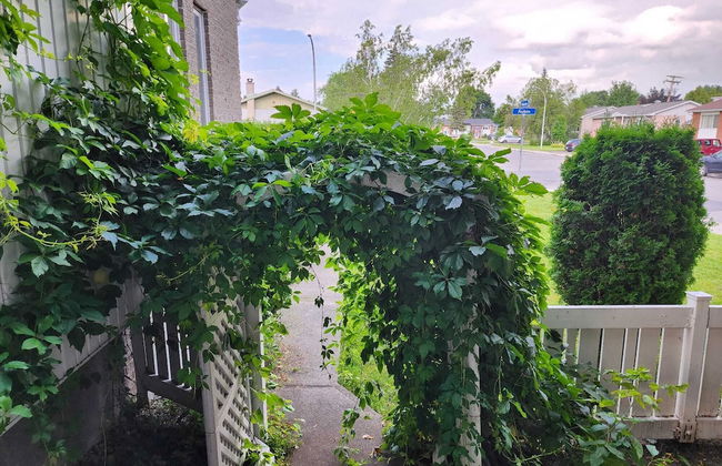 Timeless Tranquility, a place near everything! - Foto 18