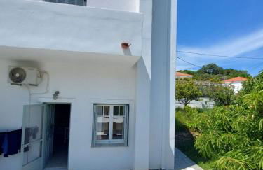 Palaiokrassa sunny appartment - Foto 19