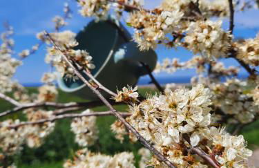 Ostseerauschen - Foto 17