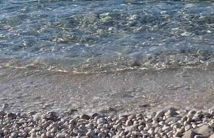 Casula Mediterranea - Foto 31