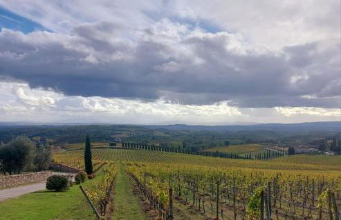 House with a view in Tuscany - Foto 52