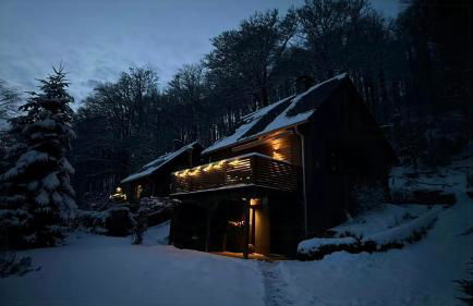 Modern Birch Chalet At Ruppberg - Foto 20