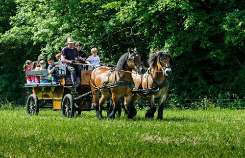 Nengshof Ferienwohnungen Mohnblume und Kornblume - Foto 9