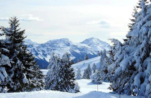Appartement T2 vue panoramique sur Annecy - Foto 15