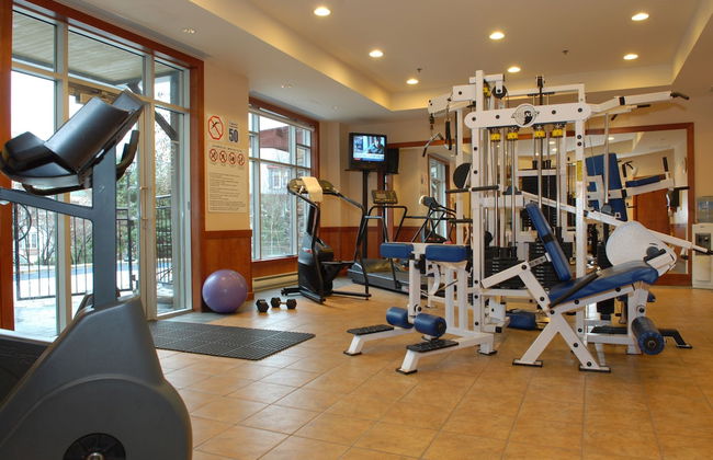 Sommet des Neiges - Foto 34