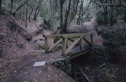 La Casita de Omar en el corazón de Anaga y La Laguna - Foto 55