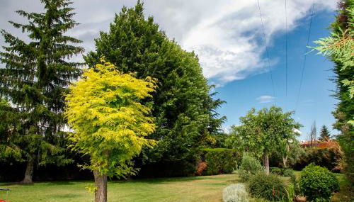 El Chalet de San Andrés - Foto 3, Garden, Garden view