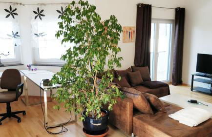 FeWo - bei Tati 95qm - Foto 16