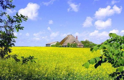 Strandmatte - Foto 10