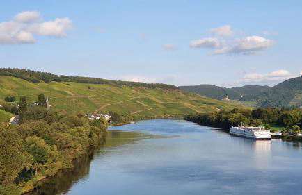 Ferienwohnung im Moseltal - Foto 30