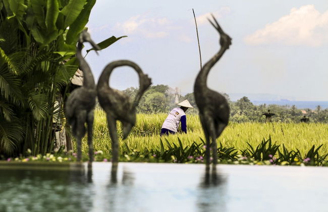 Alami Boutique Villas & Resort - Foto 61